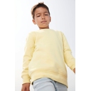 Свитшот детский Columbia Kids, серый меланж, на рост 96-104 для нанесения логотипа