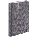 Ежедневник Anaconda, недатированный, серебристый для нанесения логотипа