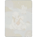 Флисовый плед Wintart Bear для нанесения логотипа