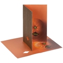 Набор Tangerine Dream, оранжевый для нанесения логотипа