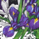 Платок шелковый Delicate, ирисы для нанесения логотипа