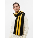 Шарф Winwear, черный для нанесения логотипа