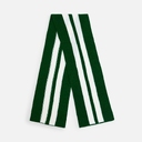 Шарф Winwear, темно-зеленый (глубокий зеленый) для нанесения логотипа