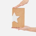 Стела StarRise Light на заказ для нанесения логотипа