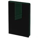 Ежедневник Bookmark, недатированный, черный с зеленым для нанесения логотипа