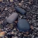 Внешний аккумулятор Pebble 7800 мАч, серый для нанесения логотипа
