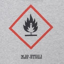 Футболка «Жар-птица», серый меланж, размер S для нанесения логотипа
