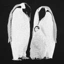 Футболка женская Like a Penguin, черная, размер S для нанесения логотипа