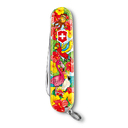 Набор для детей VICTORINOX "Попугай": перочинный нож 84 мм, шнурок на шею, книга-раскраска, красный для нанесения логотипа