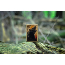 Зажигалка ZIPPO Рычащий гризли с покрытием поцарапанная латунь | Grizzly Roar Design Street Brass, латунь/сталь, золотистая, 38x13x57 мм для нанесения логотипа