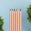 Цветные карандаши KINDERLINE small,6 цветов для нанесения логотипа