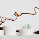 Серьги Moss для нанесения логотипа