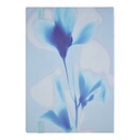 Блокнот A5 HOLOGRAPHIC FLOWER в линейку для нанесения логотипа