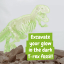 Образовательная игра Fossil Excavation Kit I для детей для нанесения логотипа