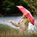 Мини-зонт AC ÖkoBrella для нанесения логотипа