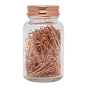 Скрепки для бумаги в банке COPPER CLIP для нанесения логотипа