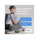 Умная колонка «Капсула Мини» с голосовым помощником Марусей для нанесения логотипа