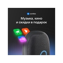 Умная колонка VK «Капсула» с голосовым помощником Марусей, 30 Вт для нанесения логотипа
