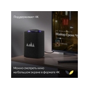 Умная колонка ЯНДЕКС Станция Макс с Алисой, с Zigbee, 65 Вт для нанесения логотипа