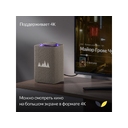 Умная колонка ЯНДЕКС Станция Макс с Алисой, с Zigbee, 65 Вт для нанесения логотипа