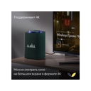 Умная колонка ЯНДЕКС Станция Макс с Алисой, с Zigbee, 65 Вт для нанесения логотипа