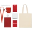 Welcome pack «Starter Bundle» для нанесения логотипа