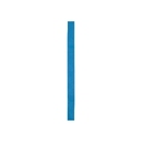 Лента для шляпы COMET для нанесения логотипа