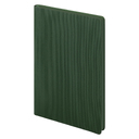 Ежедневник Рейн (Rain) недатированный, зеленый для нанесения логотипа