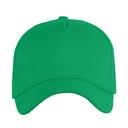 Бейсболка STAN 5 клиньев хлопок, 260, 112, Зелёный,  (30)  (56-58/ONE SIZE) для нанесения логотипа