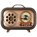 Ретро радио в стиле радиолы, диапазон частот  AM FM SW, USB, Bluetooth, Heritage Memories, со светодиодной подсветкой, цвет светло-коричневый