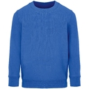 Свитшот детский Columbia Kids, ярко-синий (royal), на рост96-104