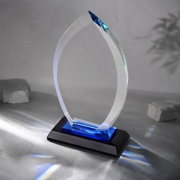 Награда «Flame» для нанесения логотипа