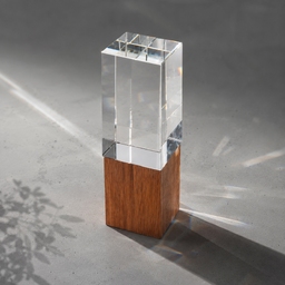 Награда «Wood and glass» для нанесения логотипа