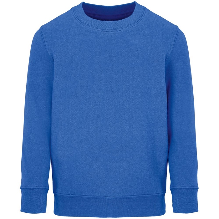Свитшот детский Columbia Kids, ярко-синий (royal), на рост96-104 для нанесения логотипа