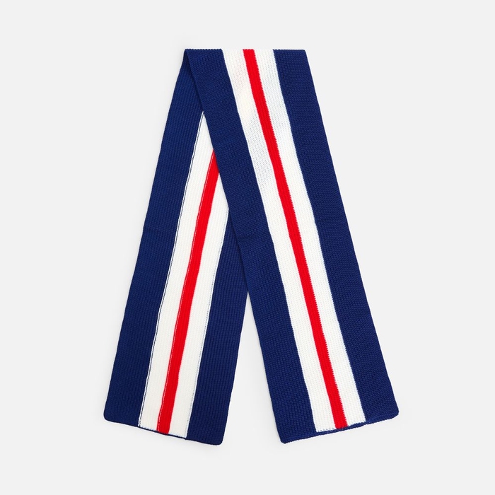 Шарф Winwear, темно-синий (кобальт) для нанесения логотипа