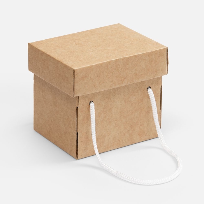 Коробка Kitbag, ver.2, крафт для нанесения логотипа