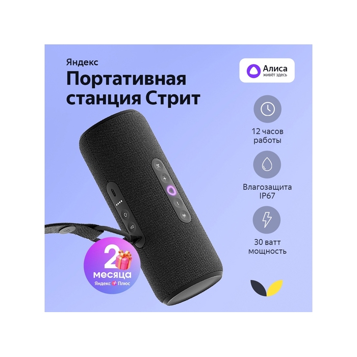 Умная колонка ЯНДЕКС Станция Стрит с Алисой для нанесения логотипа