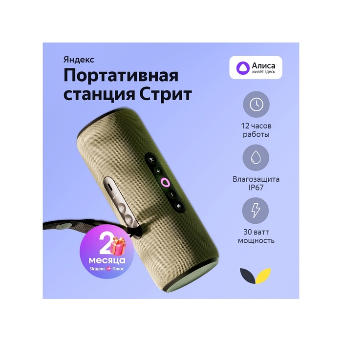Умная колонка ЯНДЕКС Станция Стрит с Алисой для нанесения логотипа