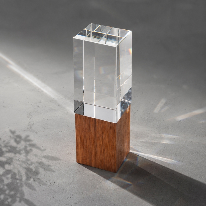 Награда «Wood and glass» для нанесения логотипа