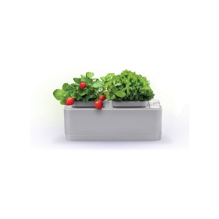 Компактный смарт-сад «iGarden» для нанесения логотипа