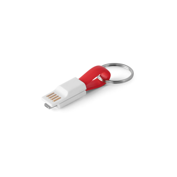 USB-кабель с разъемом 2 в 1 «RIEMANN» для нанесения логотипа